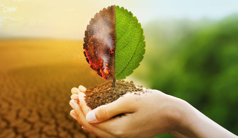 Is climate change real