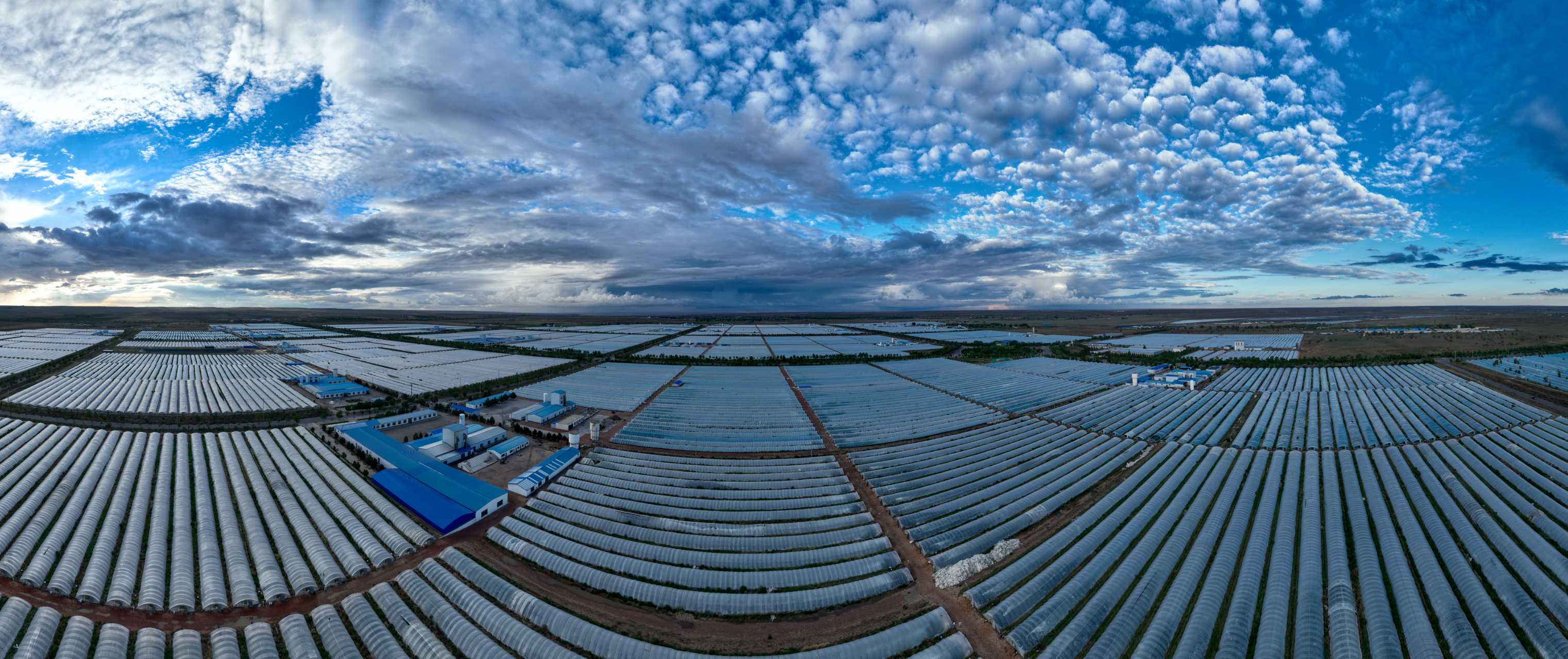 Spirulina Industrial Park.