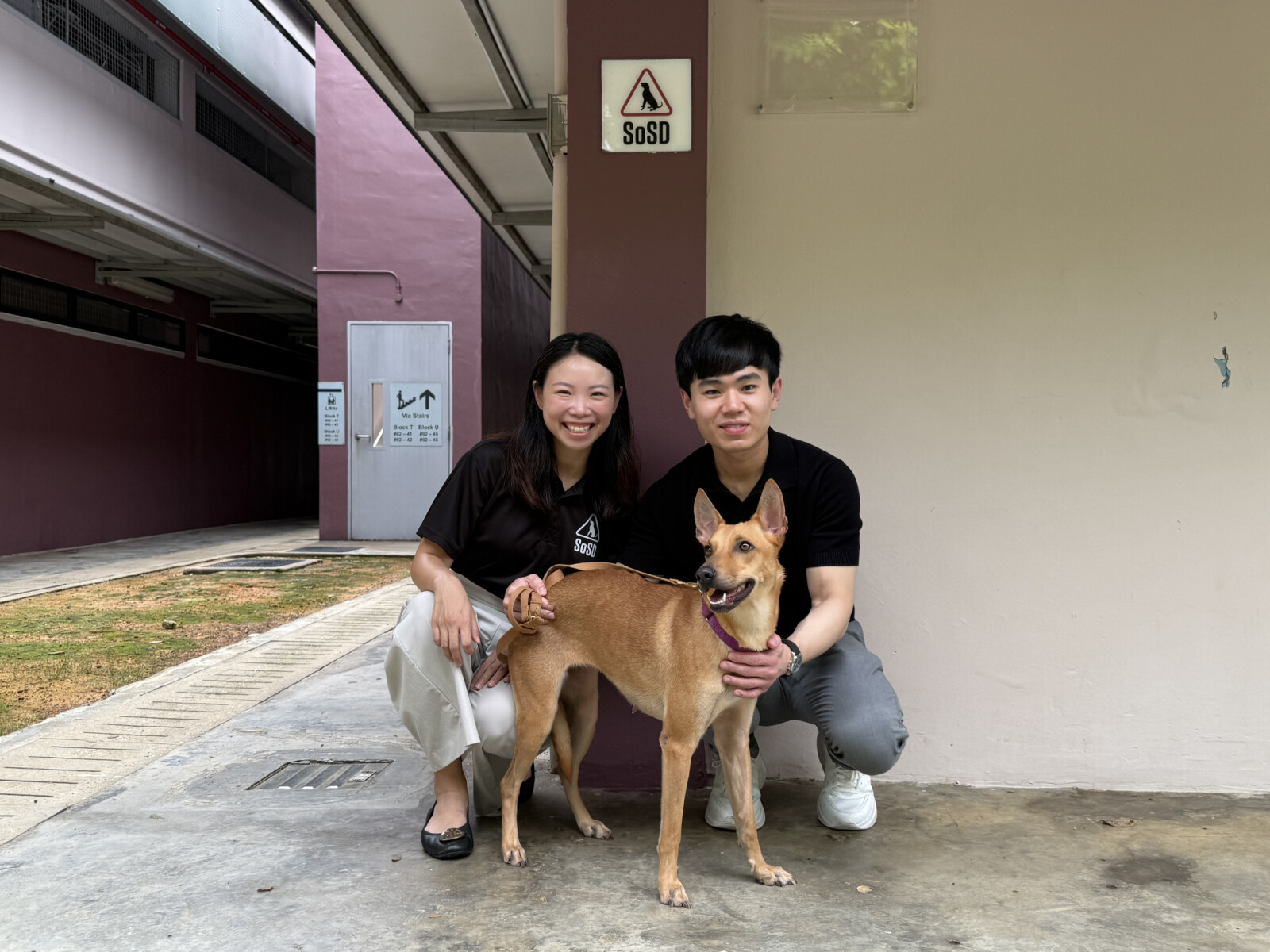 Dr Ian Tan, Founder and Medical Director of V Aesthetics Holdings and May Ngu, President of SOSD with Mira, a dog under SOSD