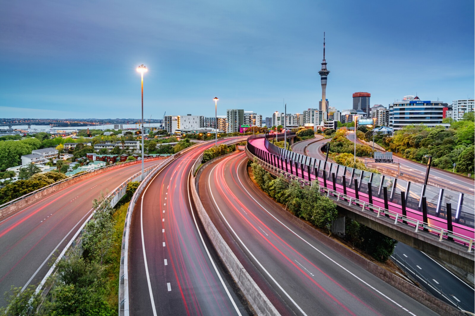 Auckland Light Path Bicycle Lane Highway Traffic New Zealand (KTC7784)